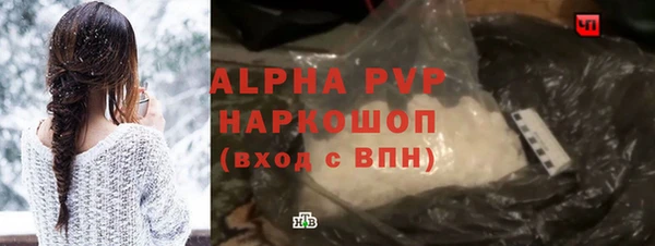 дживик Новозыбков