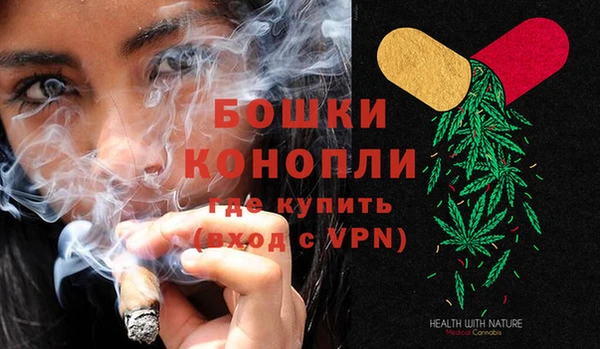 дживик Новозыбков