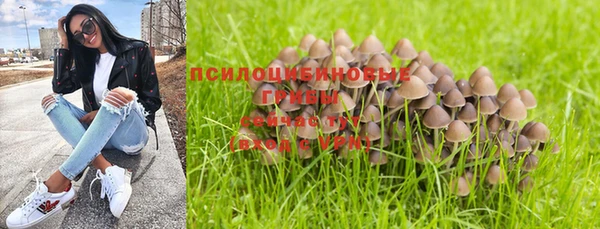 ПСИЛОЦИБИНОВЫЕ ГРИБЫ Нягань