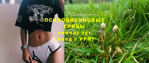 ПСИЛОЦИБИНОВЫЕ ГРИБЫ Нягань