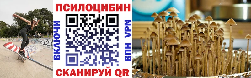 Галлюциногенные грибы мицелий  Мышкин 